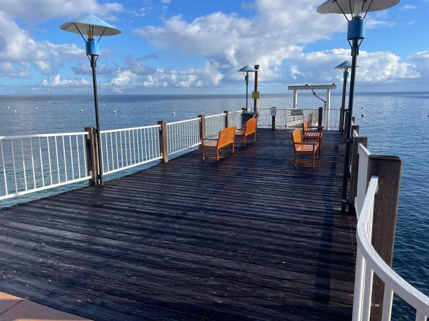 Catalina Island Getaway With 6 Seat Golf Cart Ac Apartment อาวาลอน ภายนอก รูปภาพ